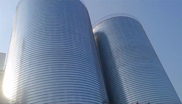 昂仁2座混凝土高架卷板仓